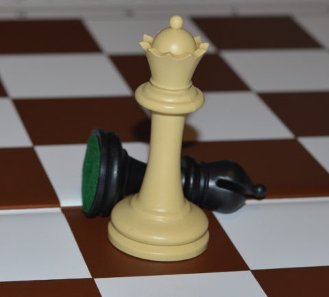 Nebun după Regină   – Concurs de șah online pentru elevi și eleve pe grupe de vârstă